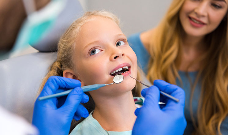 A pedodontist can help your child's dental health with the right tools for their age.